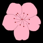 WWW,nnn99·COM网站APP最新版